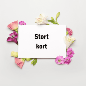 Kort